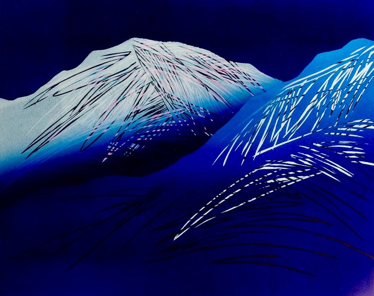 "Mot en polarnatt II"