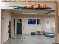 Størrelse drager 437 x 60 cm